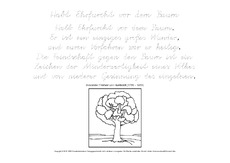Habt-Ehrfurcht-vor-dem-Baum-Humboldt-VA.pdf